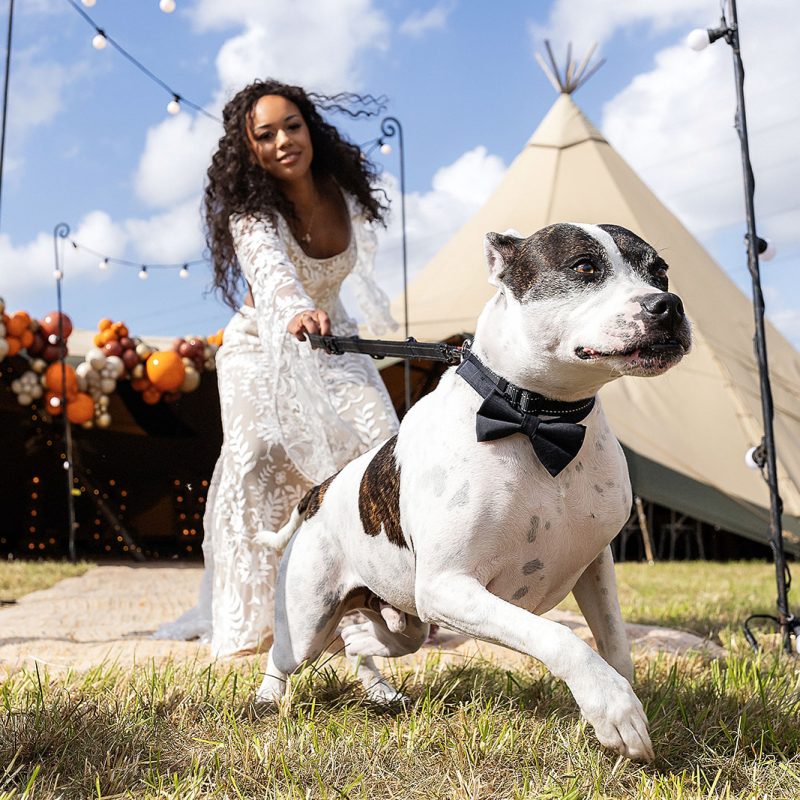 Finching Meadows Styled shoot